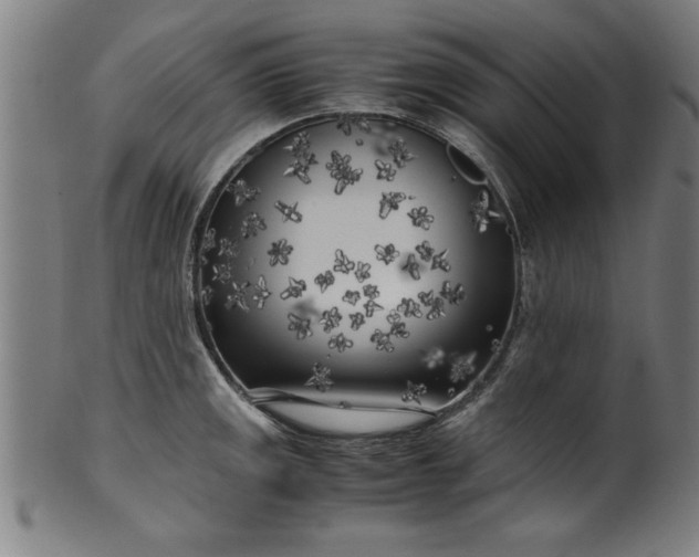 X0000099931141200806061448