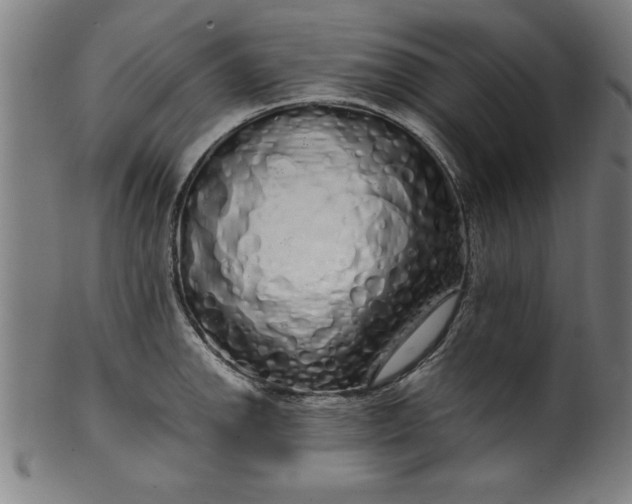 X0000099931142200806061448