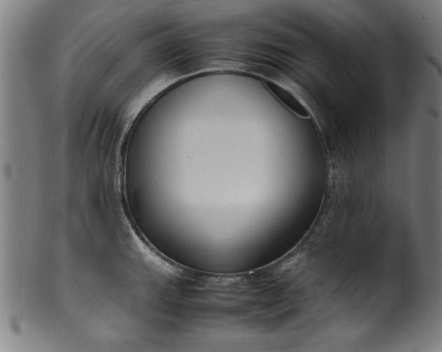 X0000099931143200806061448