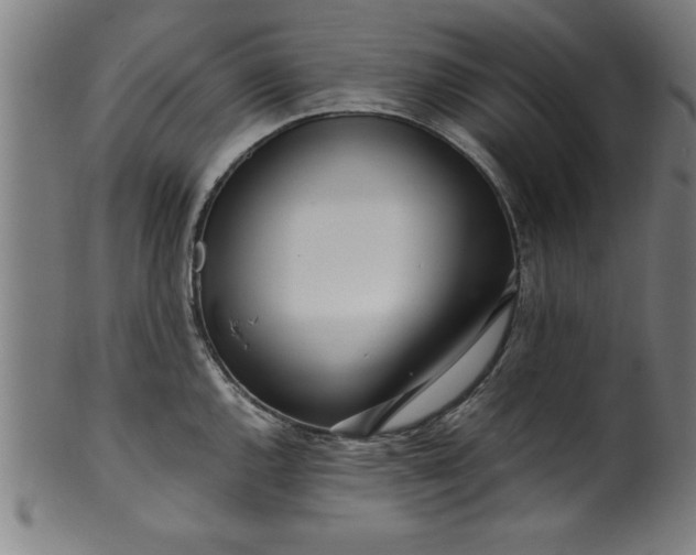 X0000099931144200806061448