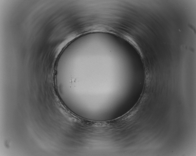 X0000099931146200806061448