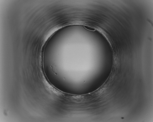 X0000099931147200806061448