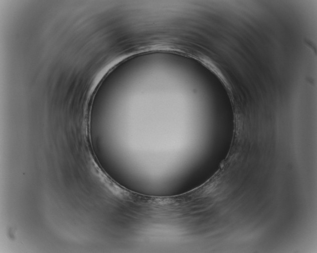 X0000099931148200806061448