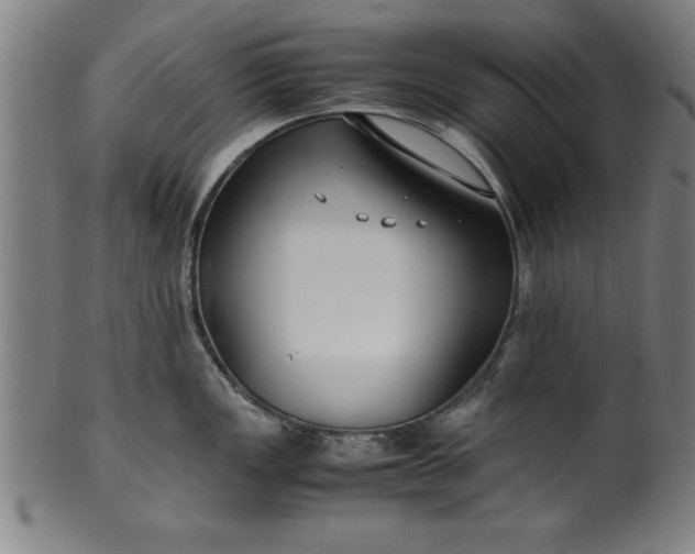 X0000099931149200806061448