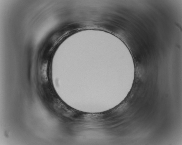 X0000099931150200806061448