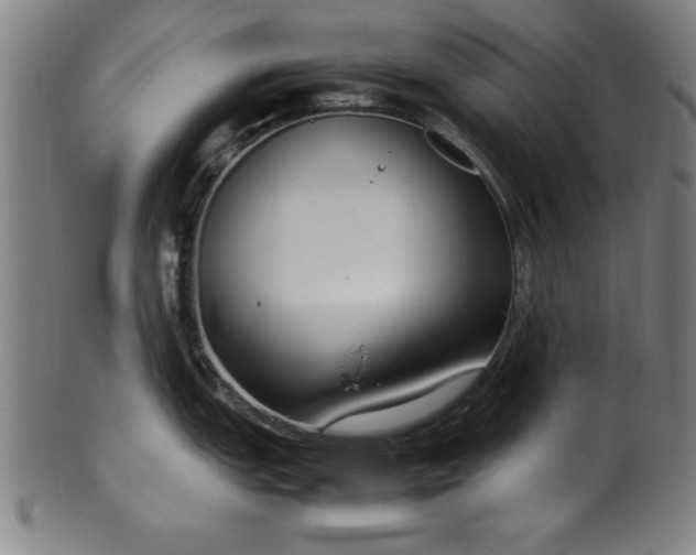 X0000099931151200806061448