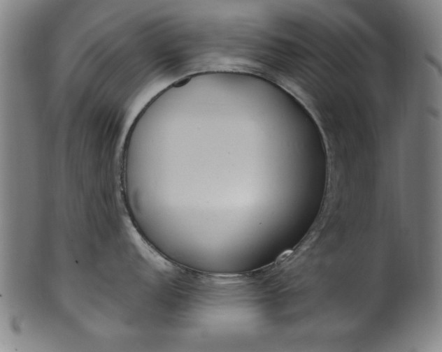 X0000099931152200806061448