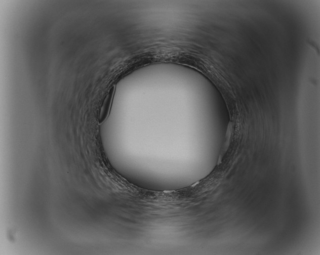 X0000099931153200806061447