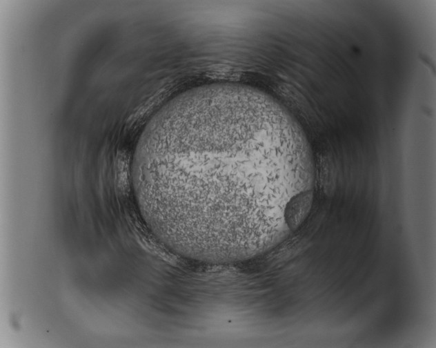 X0000099931154200806061447