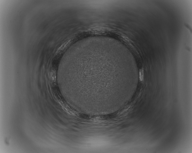 X0000099931155200806061447