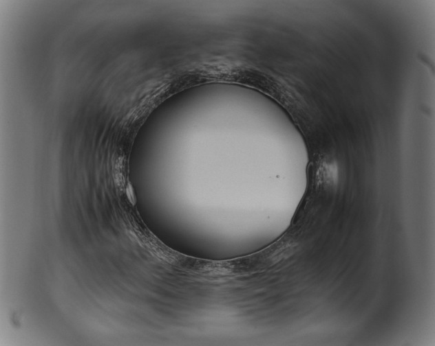 X0000099931156200806061447