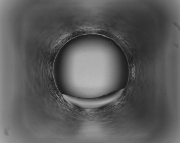 X0000099931157200806061447