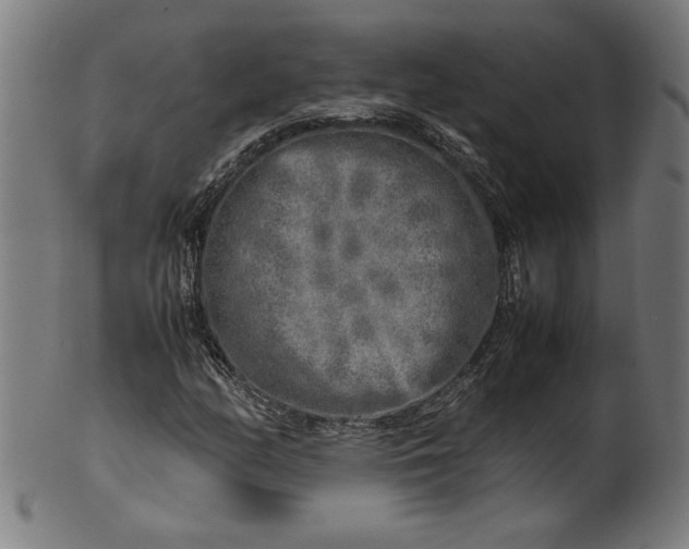 X0000099931158200806061447