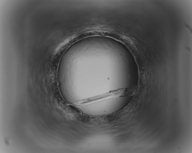 X0000099931159200806061447