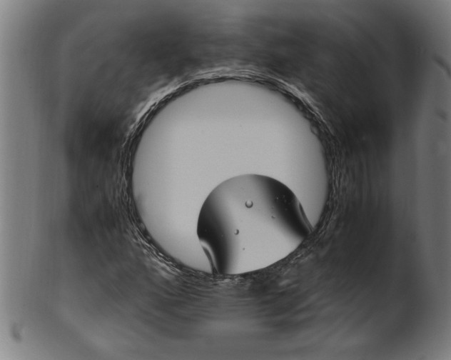 X0000099931160200806061447