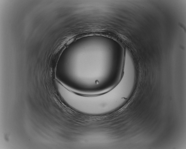 X0000099931161200806061447