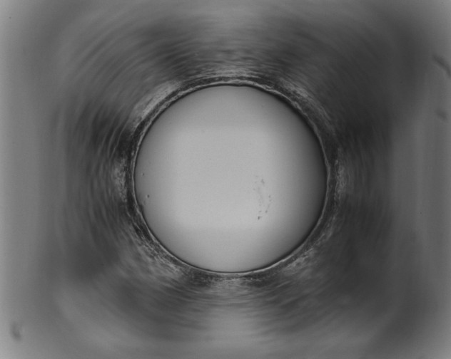 X0000099931162200806061447