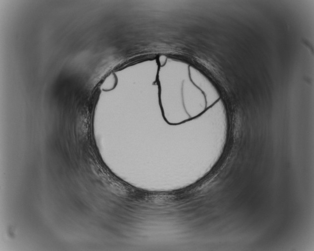 X0000099931163200806061447