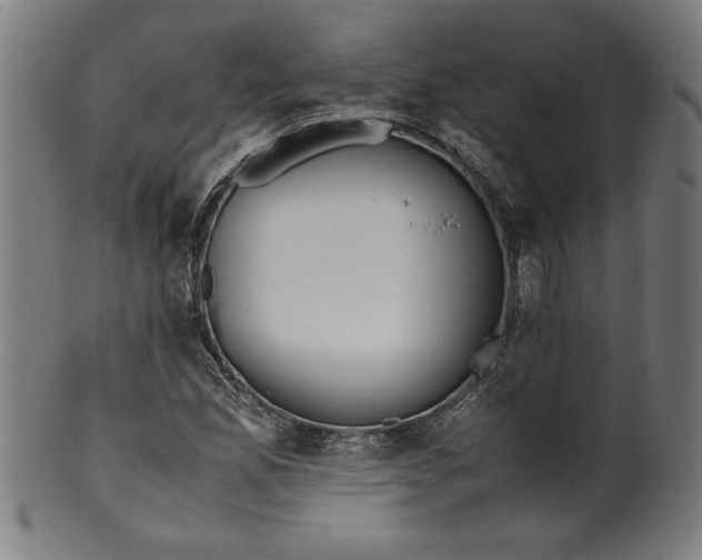 X0000099931165200806061447