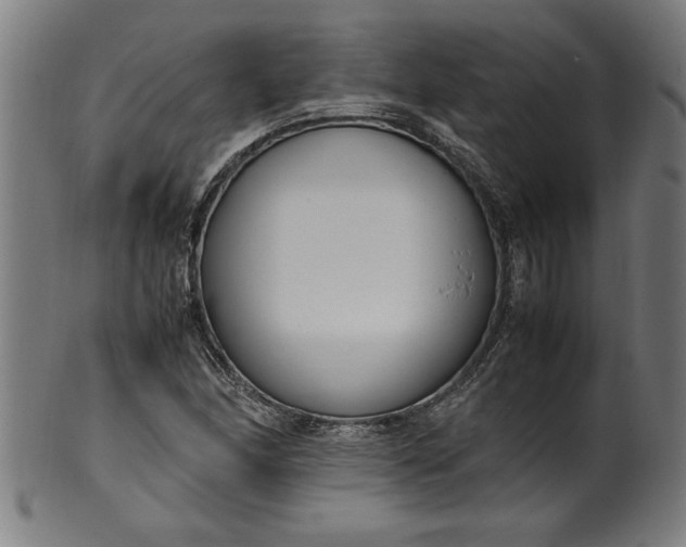 X0000099931166200806061447