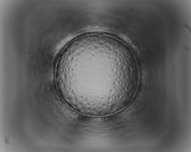 X0000099931167200806061447