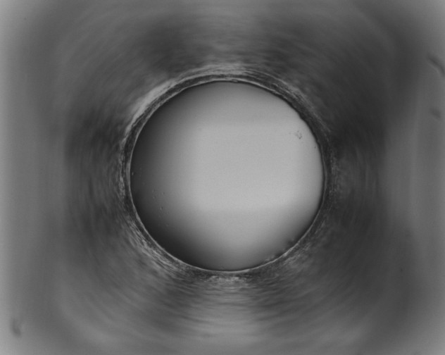 X0000099931168200806061447