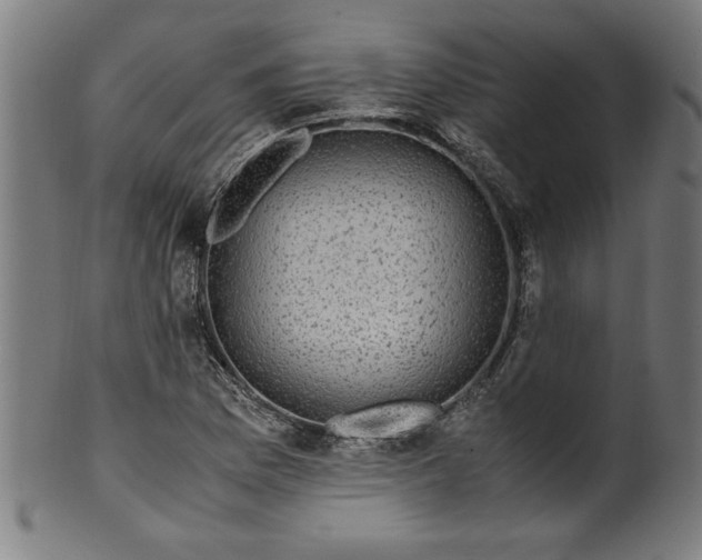 X0000099931169200806061447