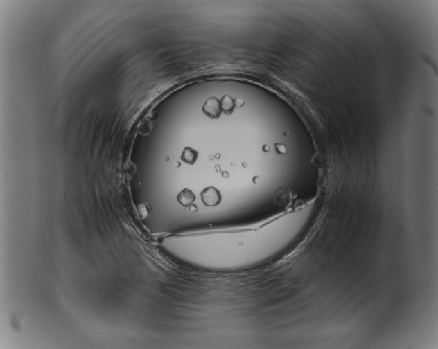 X0000099931170200806061447