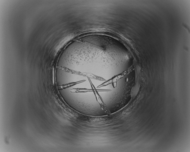 X0000099931171200806061447