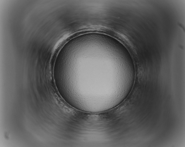 X0000099931172200806061447