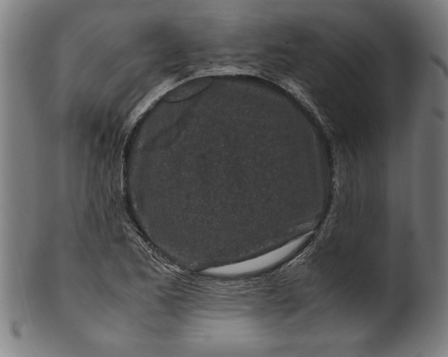 X0000099931173200806061447