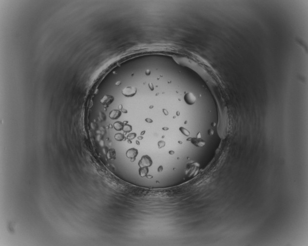 X0000099931174200806061447