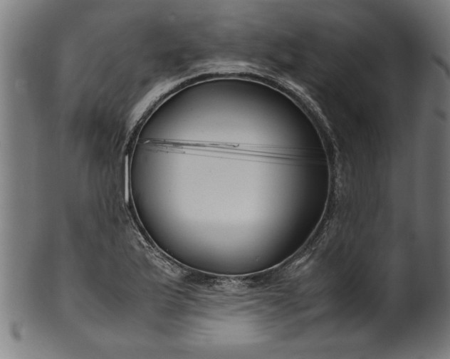 X0000099931175200806061447