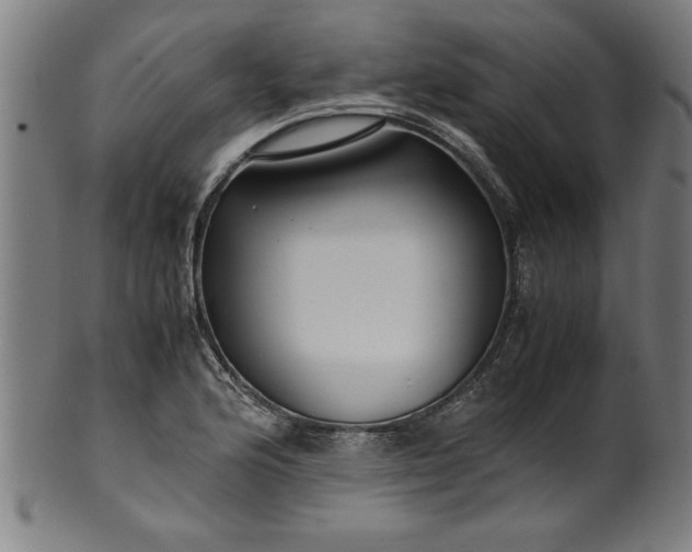 X0000099931176200806061447