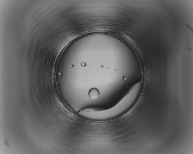 X0000099931178200806061447