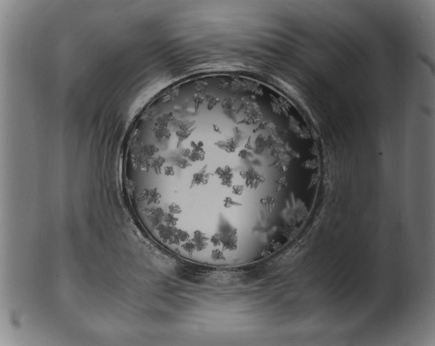 X0000099931179200806061447