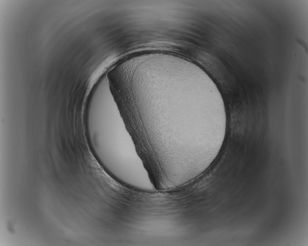 X0000099931180200806061447