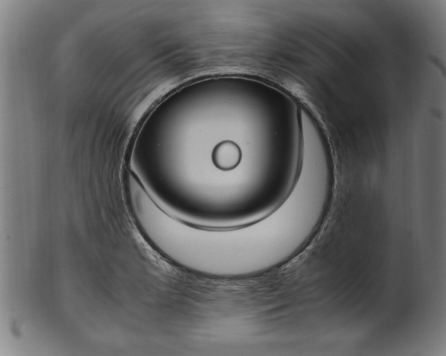 X0000099931181200806061447