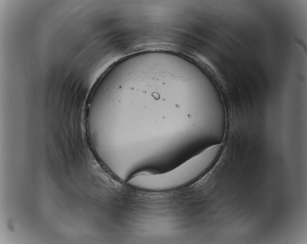 X0000099931182200806061447