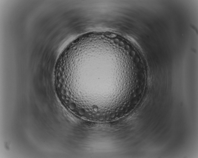 X0000099931183200806061447