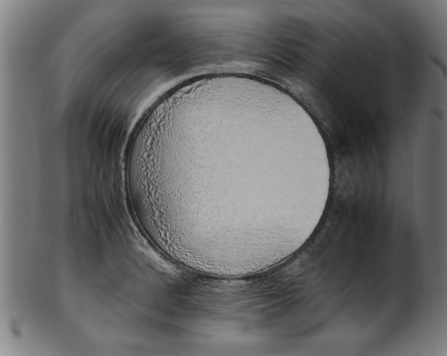 X0000099931184200806061447