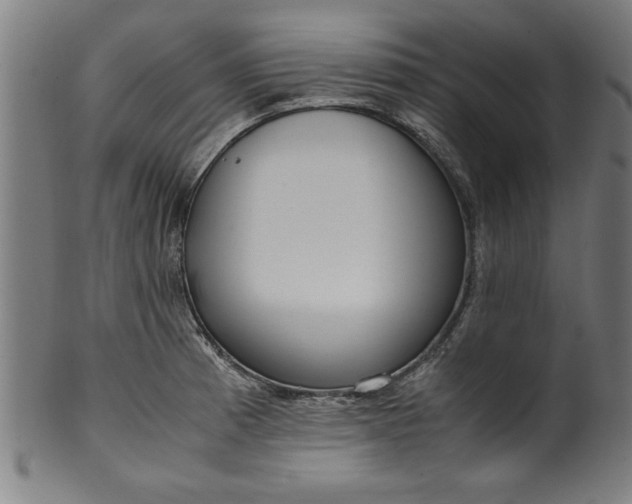 X0000099931185200806061447