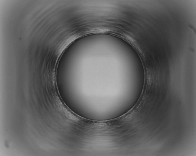 X0000099931186200806061447