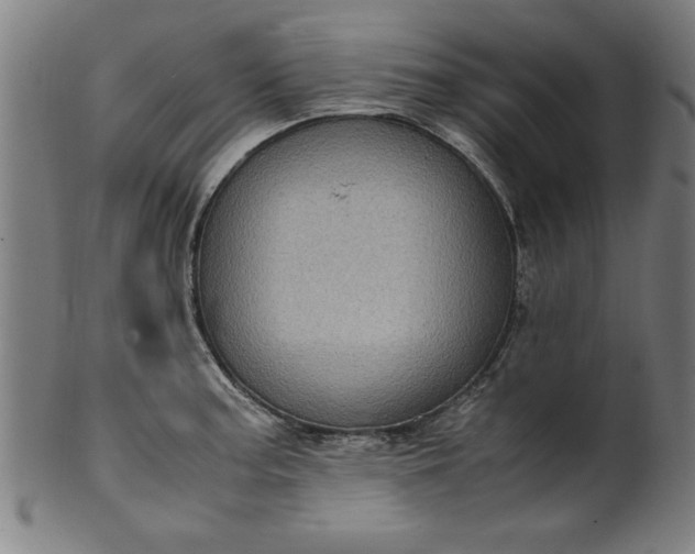 X0000099931187200806061447