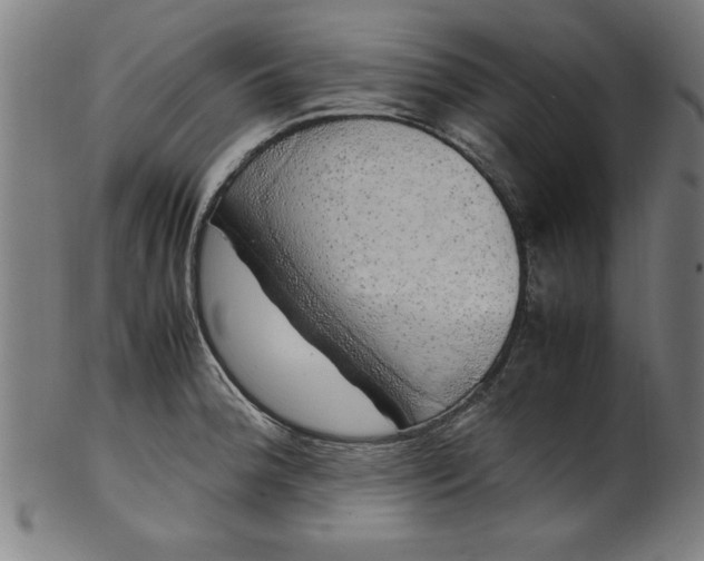 X0000099931188200806061447