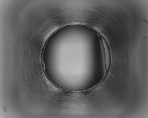 X0000099931189200806061447