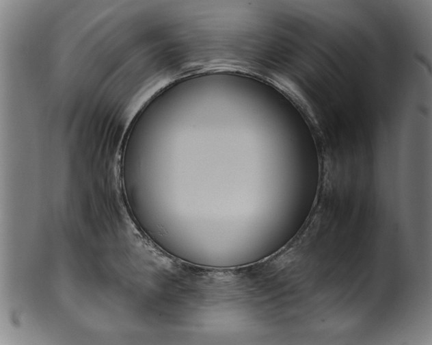 X0000099931190200806061447