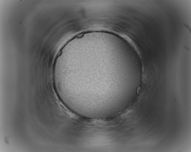 X0000099931191200806061447