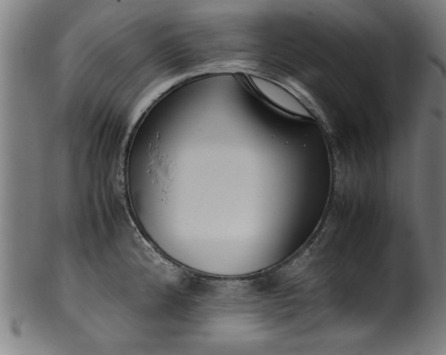 X0000099931192200806061447