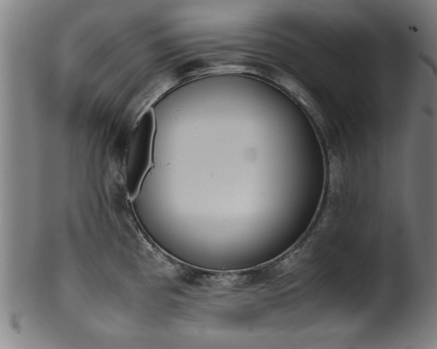 X0000099931193200806061447